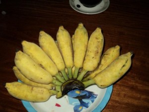 วิธีการเลือกซื้อกล้วยที่ดีต่อสุขภาพ